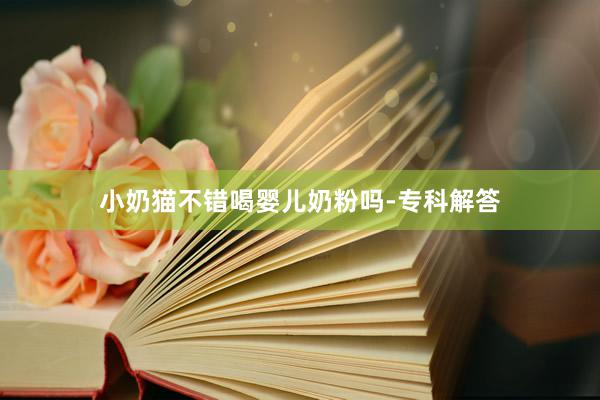 小奶猫不错喝婴儿奶粉吗-专科解答